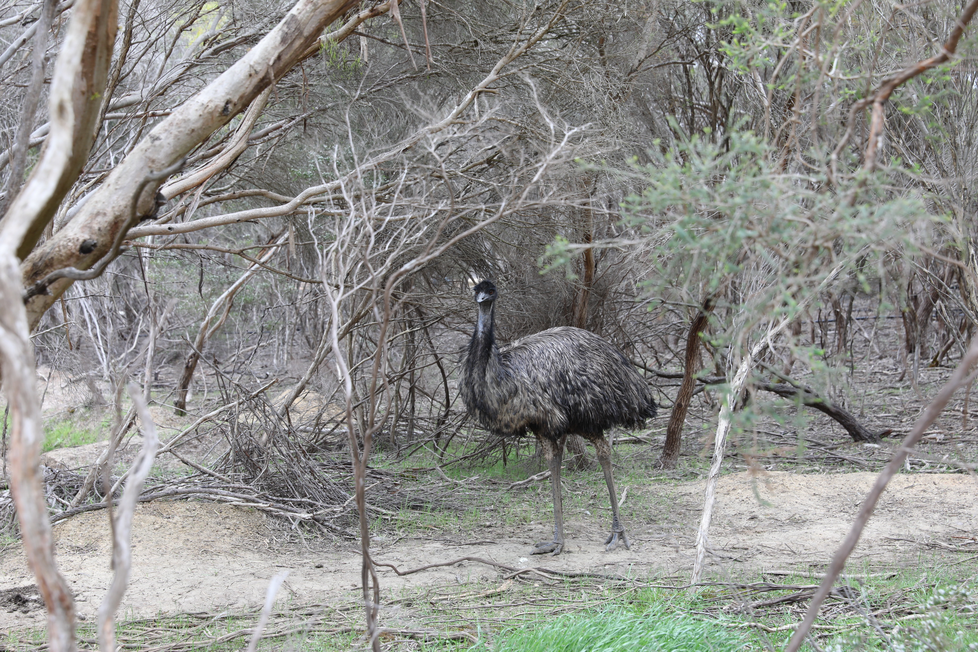 2019 10 04 15 07 19 Canon EOS 5D Mark IV 0024